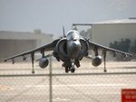 harrier_9450th.jpg