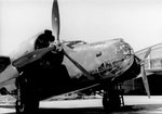 C135fro.jpg
