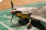 110430 Nose closeup.jpg