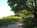 Picture 003.jpg