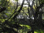 Picture 005.jpg