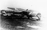 PZL11d1.jpg