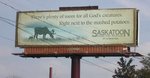 vegitarian_billboard_102.jpg