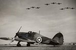 hurricanes_309.jpg