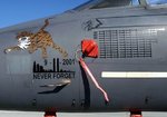 f15noseart1_130.jpg