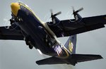 fatalbert_196.jpg