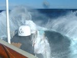 atsea_154.jpg