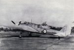 pt4_110.jpg