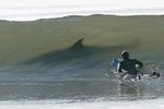 big_shark_in_wave_861.jpg