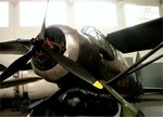 lysander_109.jpg