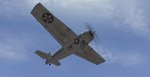F4F-3 O'Hare 2.jpg
