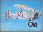 032.  Grumman F2F.jpg