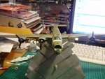 P1190017rs.jpg