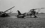 Fiat Cr.42 Falco (1).jpg