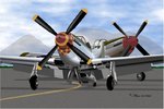 P-51 Flight Line.jpg