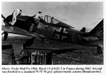 fw190-jg2.jpg