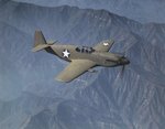 mustang 20mm.jpg