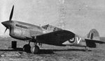 1-P-40M-RAAF-3sqn-CV-C-FL308-Gibbes-Italy-1943-01.jpg