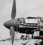 Ju-87D damaged1.jpg