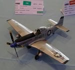 3_P-51 Mustang_0919.jpg