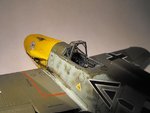 Molders Bf109F 220.jpg