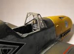 Molders Bf109F 225.jpg