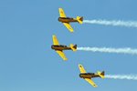 Harvards 1.jpg