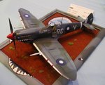 6_Spitfire Mk.VIII_4370.jpg