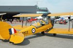 Tigermoth 1 Pd.jpg