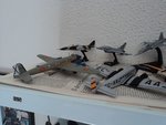 DSC01522.jpg