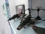 DSC01511.jpg