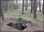 fruvxjlfsppw91xqfgnu9ynxr0dc5o6mdwpegv8o.gif