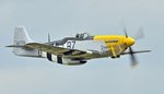 P51ace1.jpg