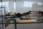 IMG_1942.JPG