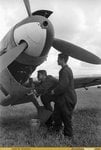 avc_00198625.jpg
