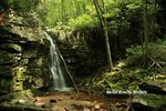 IMG_2657 Gentry Falls Resized 25 legal.jpg