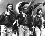 wasp2.jpg