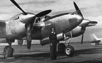 wasp-1944.jpg