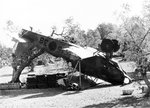 Heinkel He-45 Pavo 0038.jpg