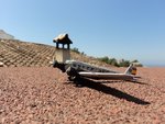 DSC01789.jpg