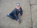 pic 316.jpg