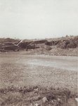 Kyushu K11W Shiragiku 002.jpg