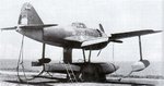 Kawanishi N1K1 Kyofu Rex 003.jpg