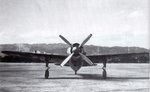 Kawanishi N1K1 George 006.jpg