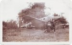 Tachikawa Ki-54 (Hickory).jpg
