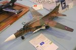 1_Mig 23_4653.jpg