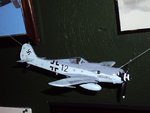 DSC03708.JPG
