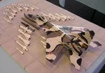 6_Mig 29_4660.JPG