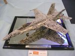 7_FA-18C_4645.JPG