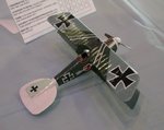 4_Albatros DIII_4618.JPG
